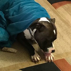 Meet your Posher, Shawn